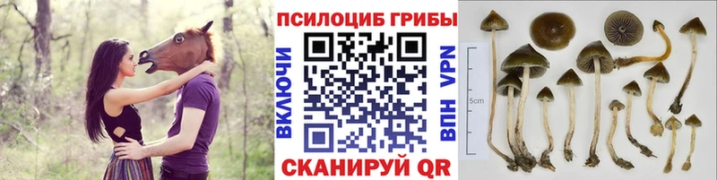 Галлюциногенные грибы мухоморы сколько стоит Энгельс