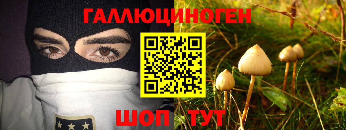 Псилоцибиновые грибы Magic Shrooms Энгельс