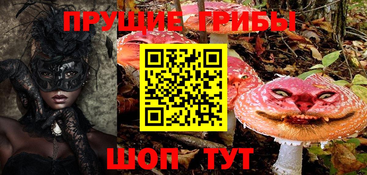 что такое наркотик  Вход с VPN  Энгельс  Галлюциногенные грибы ЛСД 