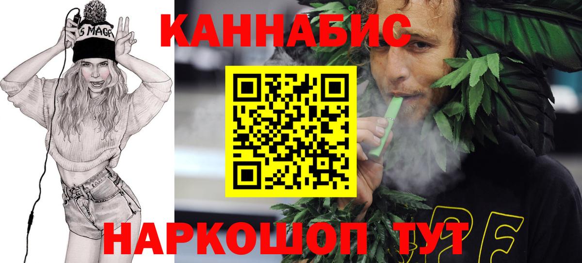 Канабис сатива Энгельс